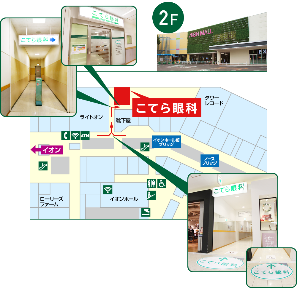 マップ