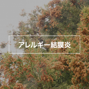 アレルギー結膜炎