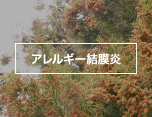 アレルギー結膜炎